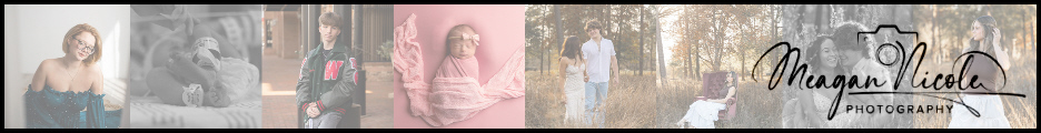  Meagan Nicole Photography 